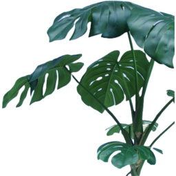 Botanik Green Monstera Artificial Tree in Pot 6ft - Size: 180 x 90 x 90cm - Wilko - thumbnail 3