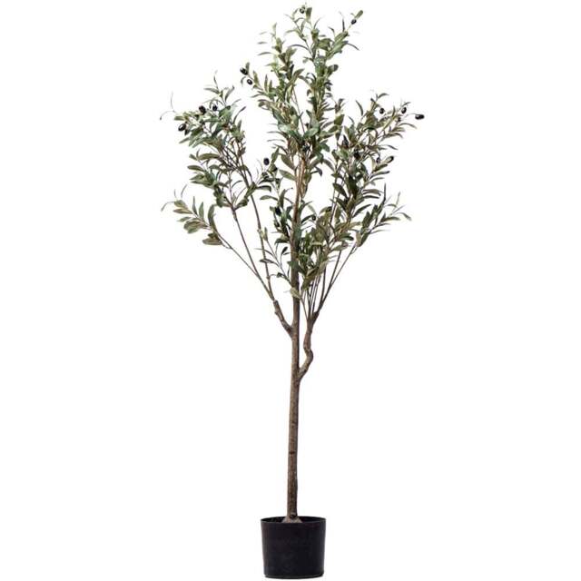 Thompson and Morgan Artificial Olive Tree Plant Pot 150cm - Size: 5ft - Green - Thompson & Morgan - Wilko - image 1