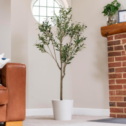 Thompson and Morgan Artificial Olive Tree Plant Pot 150cm - Size: 5ft - Green - Thompson & Morgan - Wilko - thumbnail 3