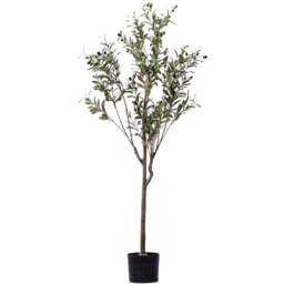 Thompson and Morgan Artificial Olive Tree Plant Pot 150cm - Size: 5ft - Green - Thompson & Morgan - Wilko - thumbnail 1