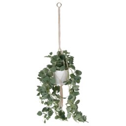 Hanging Realistic Faux Eucalyptus Plant in Pot - Wilko - thumbnail 1