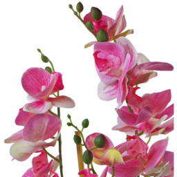 Leaf Artificial Pink Orchid Plant in Black Ceramic Planter 70cm - Size: 70 x 30 x 30cm - Wilko - thumbnail 3
