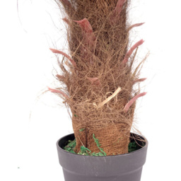 Leaf Brown Trunk Princess Palm Artificial Tree Pot 3.2ft - Size: 100 x 70 x 70cm - Green - Wilko - thumbnail 4