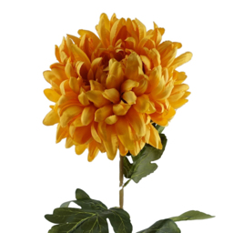 Leaf Gold Reflex Chrysanthemum Single Stem Artificial Flower 6 Pack - Size: 75 x 20 x 20cm - Yellow - Wilko - thumbnail 4
