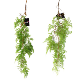 Leaf Artificial Hanging Maidenhair Fern Plant 100cm - Size: 100 x 30 x 2cm - Green - Wilko - thumbnail 6