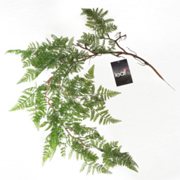 Leaf Artificial Hanging Maidenhair Fern Plant 100cm - Size: 100 x 30 x 2cm - Green - Wilko - thumbnail 5