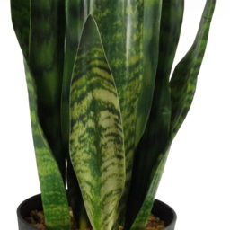 Leaf Tropical Zeylanica Sansevieria Artificial Plant Pot 70cm - Size: 70 x 17 x 17cm - Green - Wilko - thumbnail 4