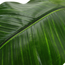 Living and Home 3 Trunk Artificial Banana Tree in Black Planter - Green - Wilko - thumbnail 4