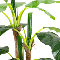 Living and Home 3 Trunk Artificial Banana Tree in Black Planter - Green - Wilko - thumbnail 5