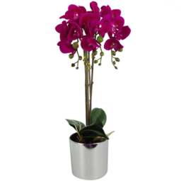Botanik Dark Pink Orchid Artificial Plant in Silver Pot 52cm - Size: 52 x 20 x 30cm - Wilko - thumbnail 1