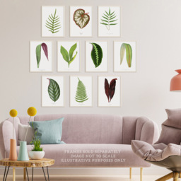 Wee Blue Coo Vintage Audubon Style Leaf Wall Art Print 30 x 41cm 10 Pack - Size: 40.5 x 30.5 x 0.3cm - Multi - Wilko - thumbnail 3
