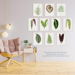 Wee Blue Coo Vintage Audubon Style Leaf Wall Art Print 30 x 41cm 10 Pack - Size: 40.5 x 30.5 x 0.3cm - Multi - Wilko - thumbnail 4