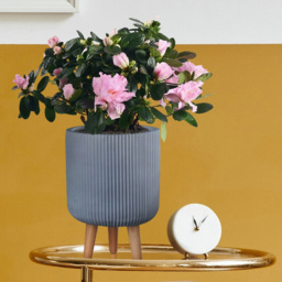 wilko Ribbed Grey Indoor Cylinder Plant Pot with Legs 36cm - Instadecor - thumbnail 5