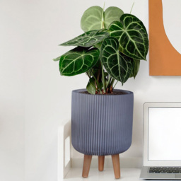 wilko Ribbed Grey Indoor Cylinder Plant Pot with Legs 36cm - Instadecor - thumbnail 4