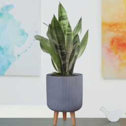 wilko Ribbed Grey Indoor Cylinder Plant Pot with Legs 36cm - Instadecor - thumbnail 6