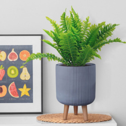 wilko Ribbed Grey Indoor Cylinder Plant Pot with Legs 36cm - Instadecor - thumbnail 3