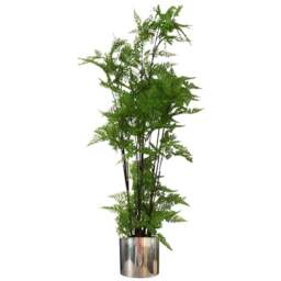 Leaf Moss Artificial Plant in Pot with Silver Planter 150cm - Size: 150 x 60 x 60cm - Green - Wilko - thumbnail 1