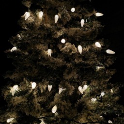 Samuel Alexander 150 Warm White LED Multi Action Pine Cone Light 7.5m - Size: 2 x 750 x 2cm - Wilko - thumbnail 6