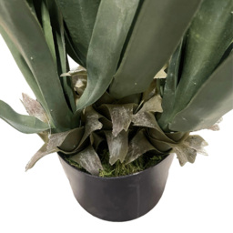 Botanik Yucca Artificial Plant 70cm - Size: 70 x 35 x 35cm - Green - Wilko - thumbnail 4
