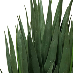 Botanik Yucca Artificial Plant 70cm - Size: 70 x 35 x 35cm - Green - Wilko - thumbnail 3