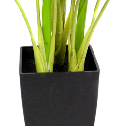 GreenBrokers Artificial Indoor Pothos Plant in Black Pot - Size: 20 x 20 x 70cm - Wilko - thumbnail 3