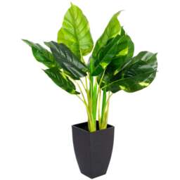 GreenBrokers Artificial Indoor Pothos Plant in Black Pot - Size: 20 x 20 x 70cm - Wilko