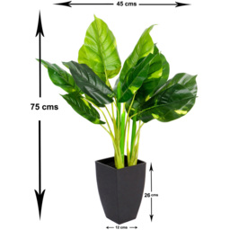GreenBrokers Artificial Indoor Pothos Plant in Black Pot - Size: 20 x 20 x 70cm - Wilko - thumbnail 5