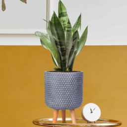wilko Honeycomb Green Grey Cylinder Garden Indoor Planter on Legs 34cm - Instadecor - thumbnail 5