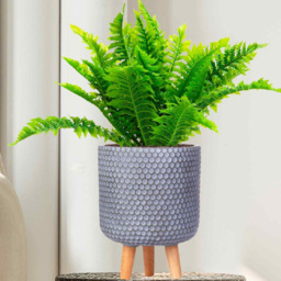 wilko Honeycomb Green Grey Cylinder Garden Indoor Planter on Legs 34cm - Instadecor - thumbnail 4