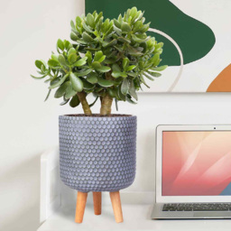wilko Honeycomb Green Grey Cylinder Garden Indoor Planter on Legs 34cm - Instadecor - thumbnail 6
