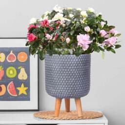 wilko Honeycomb Green Grey Cylinder Garden Indoor Planter on Legs 34cm - Instadecor - thumbnail 3