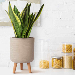 wilko Plaited Style Beige Indoor Cylinder Plant Pot with Legs 35cm - Instadecor - thumbnail 4