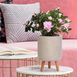 wilko Plaited Style Beige Indoor Cylinder Plant Pot with Legs 35cm - Instadecor - thumbnail 5