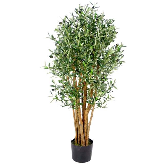Botanik Luxury Olive Realistic Artificial House Plant 4.1ft - Size: 125 x 60 x 60cm - Green - Wilko - image 1