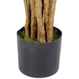 Botanik Luxury Olive Realistic Artificial House Plant 4.1ft - Size: 125 x 60 x 60cm - Green - Wilko - thumbnail 3