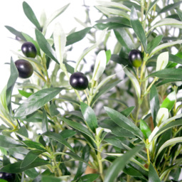 Botanik Luxury Olive Realistic Artificial House Plant 4.1ft - Size: 125 x 60 x 60cm - Green - Wilko - thumbnail 5