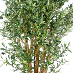 Botanik Luxury Olive Realistic Artificial House Plant 4.1ft - Size: 125 x 60 x 60cm - Green - Wilko - thumbnail 4