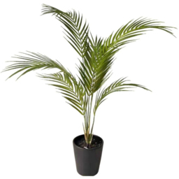 Botanik Areca Palm Artificial Tree in Pot 2ft - Size: 70 x 50 x 50cm - Green - Wilko - thumbnail 1