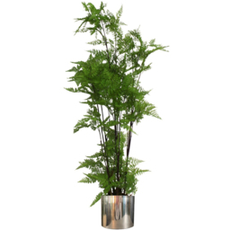 Botanik Polished Silver Finish Metal Planter 20 x 18cm - Size: 18 x 20 x 20cm - Wilko - thumbnail 7