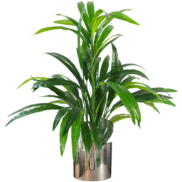 Botanik Polished Silver Finish Metal Planter 20 x 18cm - Size: 18 x 20 x 20cm - Wilko - thumbnail 4