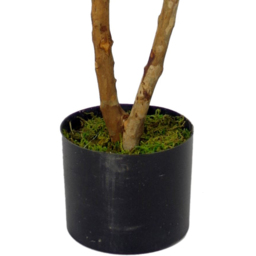 Botanik Ruscus Ficus Artificial Tree with Real Wood Trunk in Pot 3.3ft - Size: 100 x 60 x 60cm - Green - Wilko - thumbnail 3