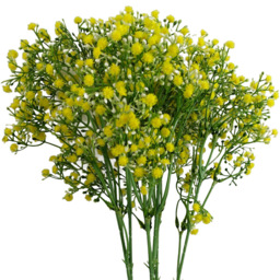 Leaf Yellow Gypsophila Artificial Stem 55cm 6 Pack - Size: 55 x 10 x 10cm - Wilko - thumbnail 3