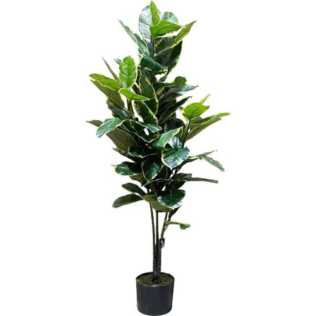 Botanik Rubber Artificial Tree in Pot 4ft - Size: 120 x 60 x 60cm - Green - Wilko - image 1