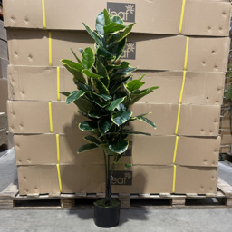 Botanik Rubber Artificial Tree in Pot 4ft - Size: 120 x 60 x 60cm - Green - Wilko - thumbnail 3