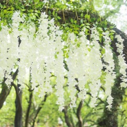 Living and Home White Wisteria Hanging Vines 12 Pack - Size: 40 x 50 x 4cm - Wilko - thumbnail 7