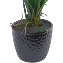 Leaf Large Dark Pink Artificial Orchid Plant in Ceramic Planter 50cm - Size: 50 x 50 x 50cm - Wilko - thumbnail 4