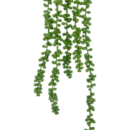 Leaf String of Fern Pearls Hanging Artificial Plant 2ft - Size: 70 x 10 x 2cm - Green - Wilko - thumbnail 4