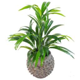 Leaf Bamboo Foliage Artificial Plant Pot in Pot 65cm - Size: 65 x 40 x 40cm - Green - Wilko