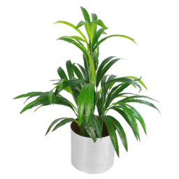 Leaf Bamboo Foliage Artificial Plant Pot in Pot 65cm - Size: 65 x 40 x 40cm - Green - Wilko - thumbnail 4