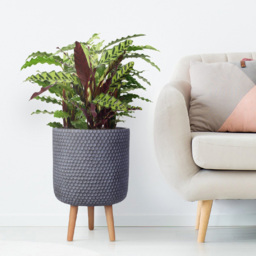 wilko Honeycomb Green Grey Cylinder Garden Indoor Planter on Legs 47cm - Instadecor - thumbnail 3